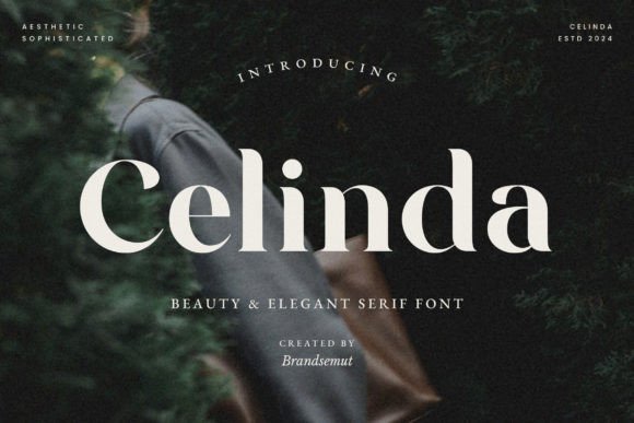 Celinda: A Serif Font That Makes Your Brand Feel Instantly Polished
