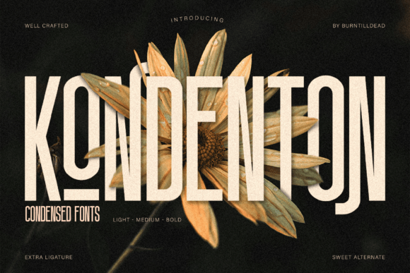 Kondenton: A Modern Sans Serif Font for Campaign Clarity