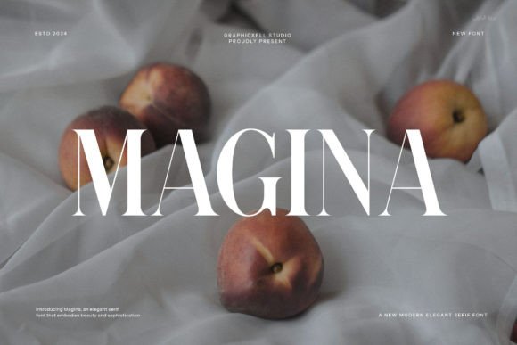 Magina: A Serif Font That Anchors Editorial Calm